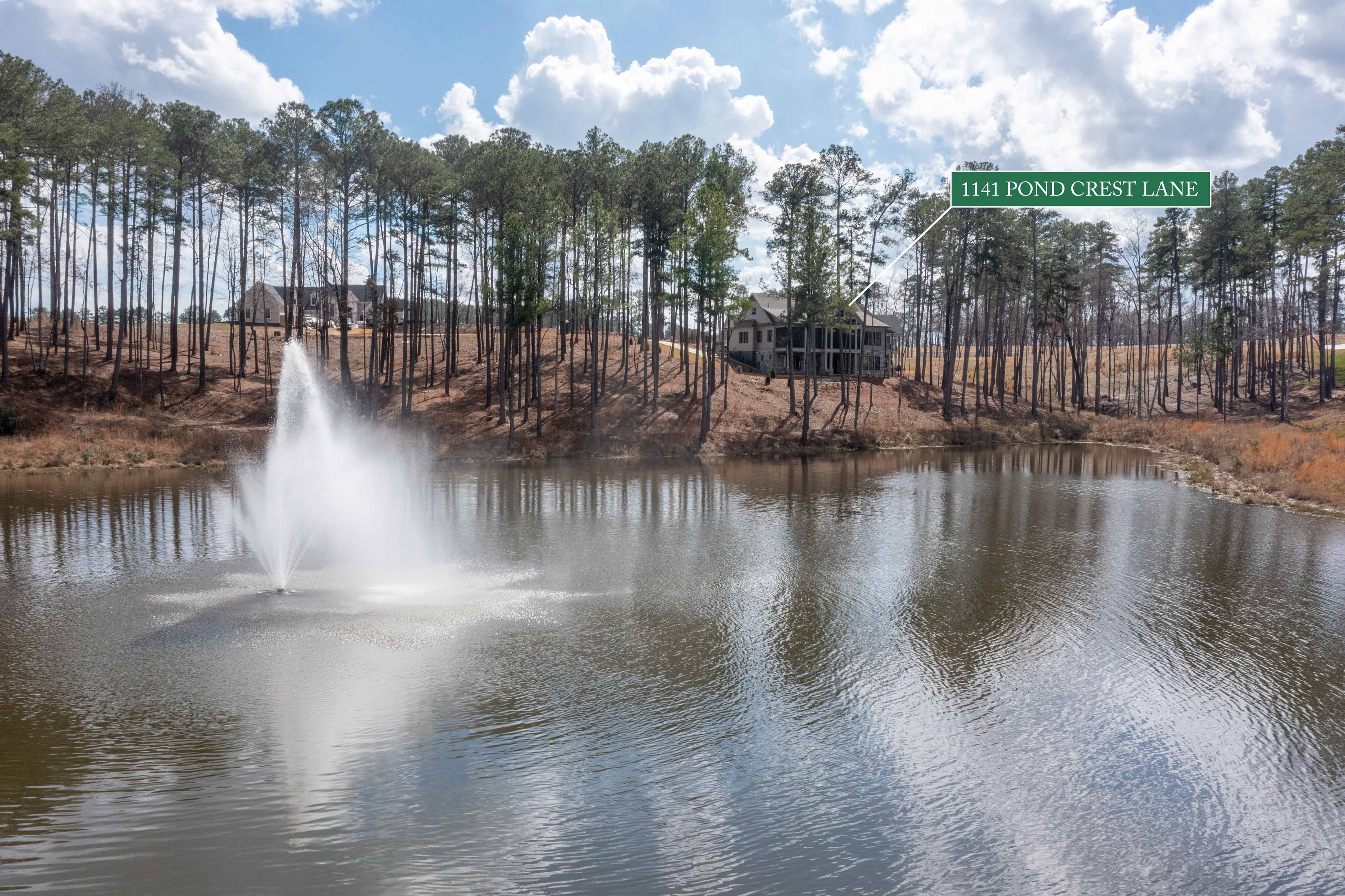 1141 Pond Crest Lane image 57